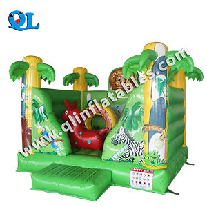 inflatable bouncer