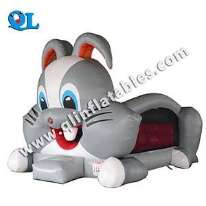 inflatable bouncer-06