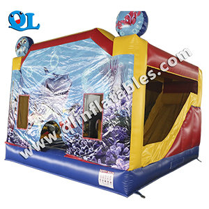 QL-inflatable cmobo-02