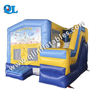 QL-inflatable cmobo-19